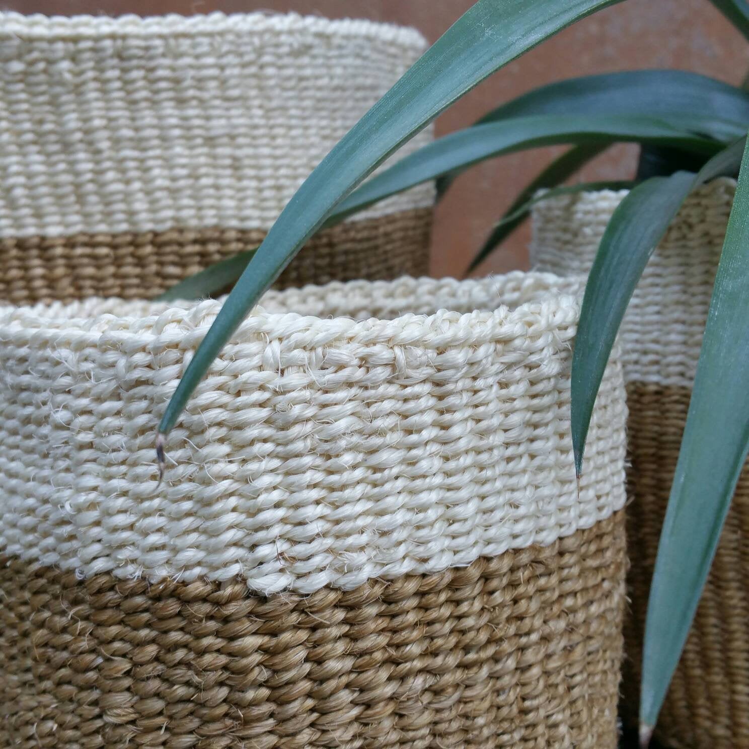 Special Handwoven planting basket