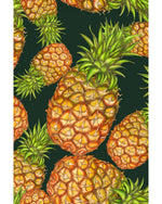 Women's Tropical Pineapple Print Khadi Dupatta or Stole