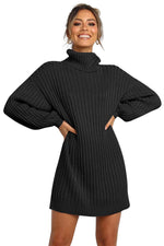 Turtleneck Balloon Sleeve Sweater Dress