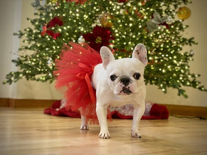 Red Christmas Dog Tutu Skirt