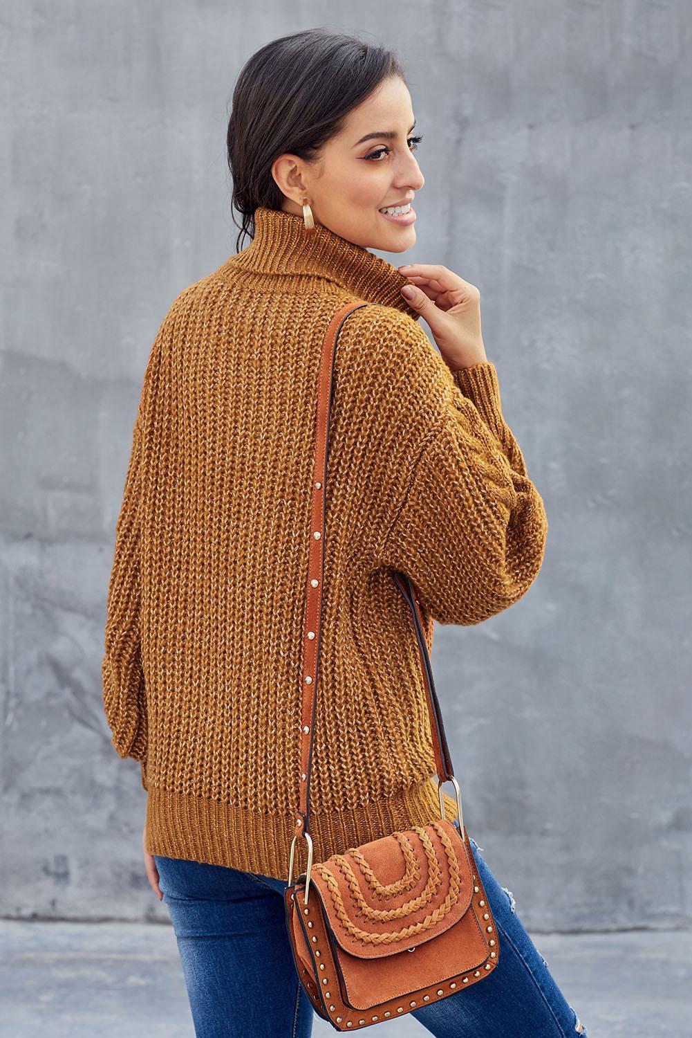 New Turtleneck Sweater