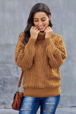 New Turtleneck Sweater