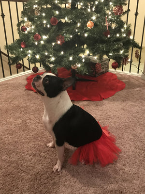 Red Christmas Dog Tutu Skirt